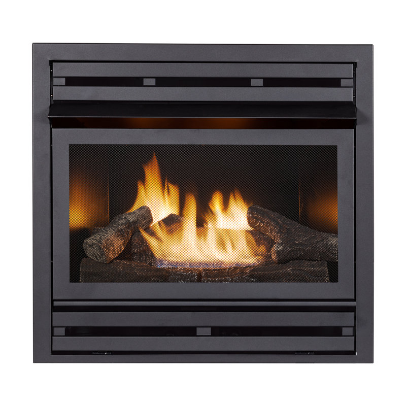 Pleasant Hearth Vent Free Natural Gas/Propane Fireplace Insert Only
